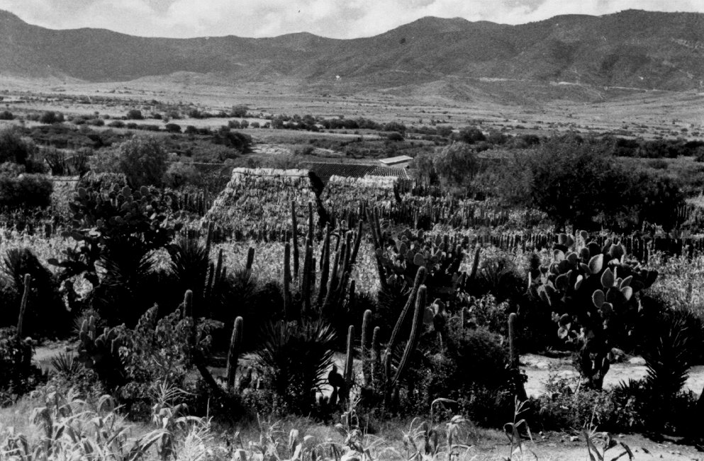 1937_08_20-2-013a-MitlaOfToday.jpg