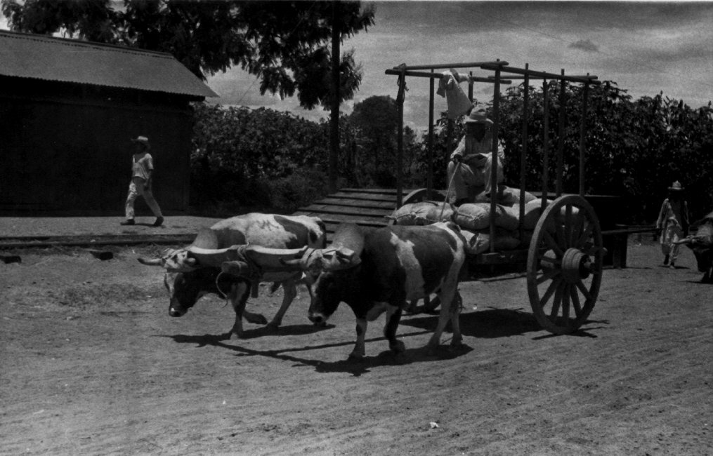 1937_08_20-2-023a-TlacolulaCoffeeForRailShipment.jpg