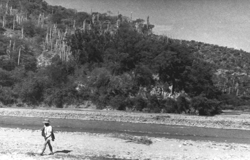 1937_08_21-2-043b-UpperRioTehuantepec.jpg