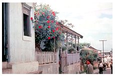 1937_09_04-020-StreetSceneWithRoses-Minatitlan.jpg