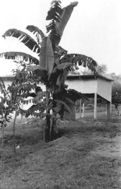 1937_08_12-1-021-HouseOfTheFrogs-Tamazunchale.jpg