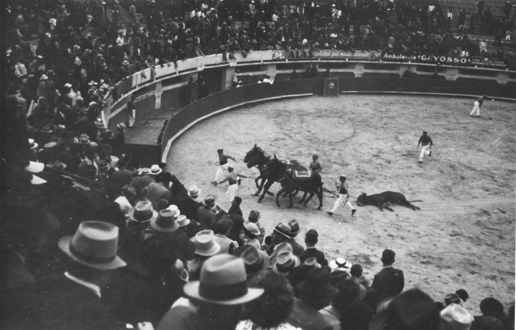 1937_08_15-1-065a-Bullfight-MexicoCity.jpg