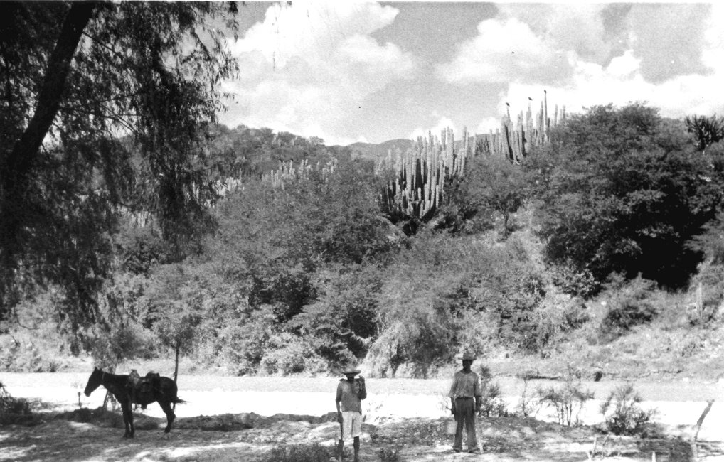 1937_08_18-1-087a-FromTrain-TehuacanToOaxaca.jpg
