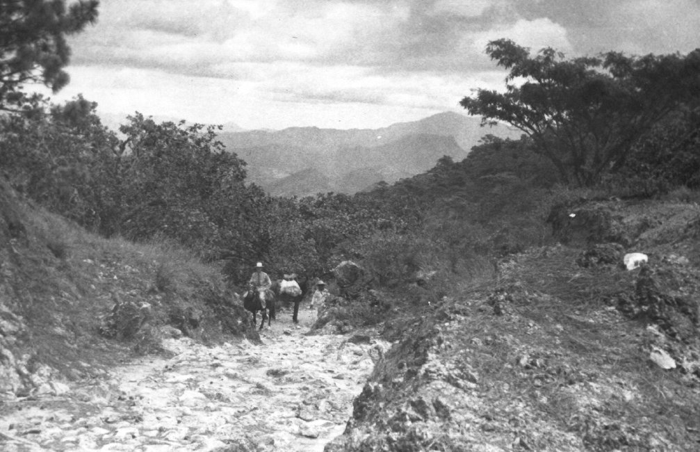 1937_08_22-2-059a-OnTrailToSanBartolo.jpg