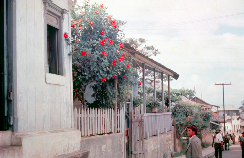 1937_09_04-020-StreetSceneWithRoses-Minatitlan.jpg