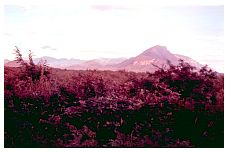 1937_09_09-011-MountainsNearSanJeronimoIxtepec.jpg