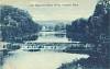 MNPrestonDamonRootRiver1908.jpg