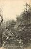 MNPrestonLovesPathway1908.jpg