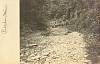 MNPrestonMahoodsGulchc1908.jpg
